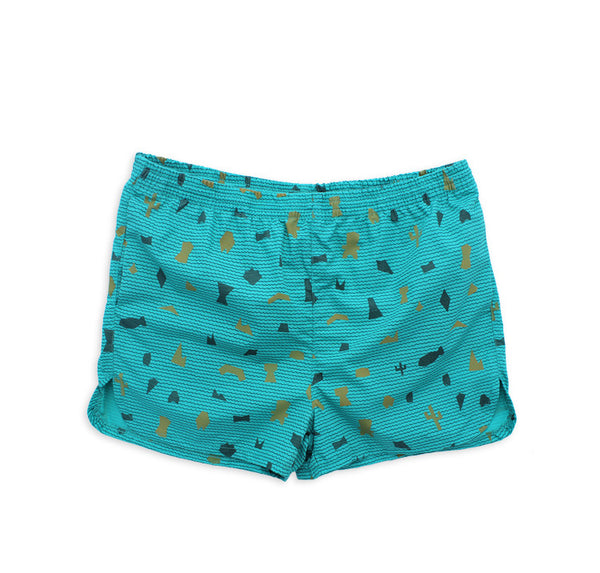 Shapes Swim Trunks (Teal)